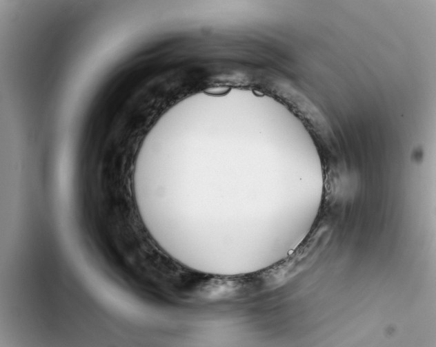 X0000103270764200809191742