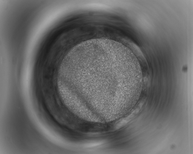 X0000103270765200809191742