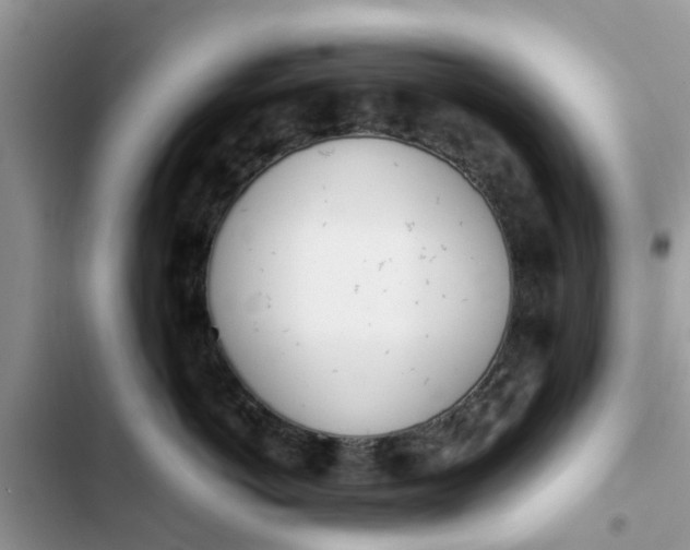 X0000103270766200809191742