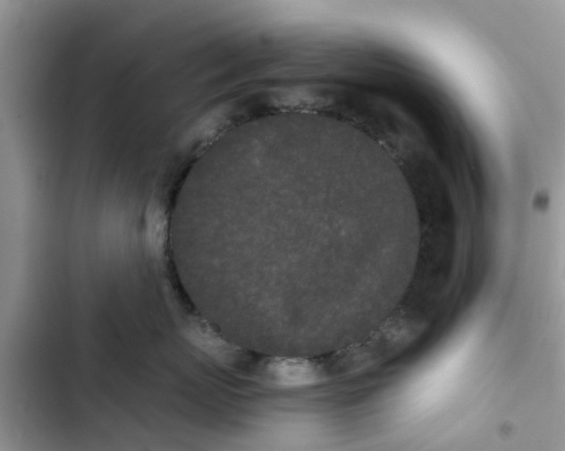 X0000103270767200809191742