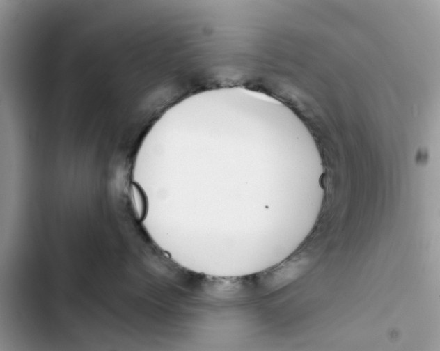 X0000103270768200809191742
