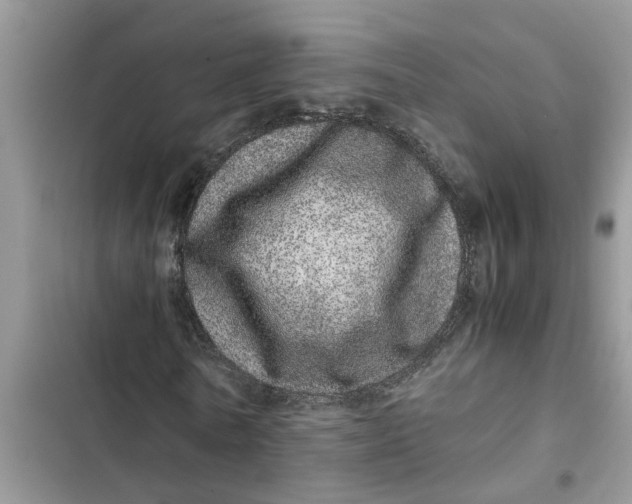 X0000103270770200809191741