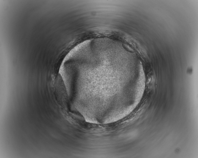 X0000103270772200809191741