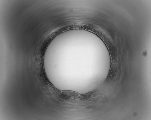 X0000103270773200809191741