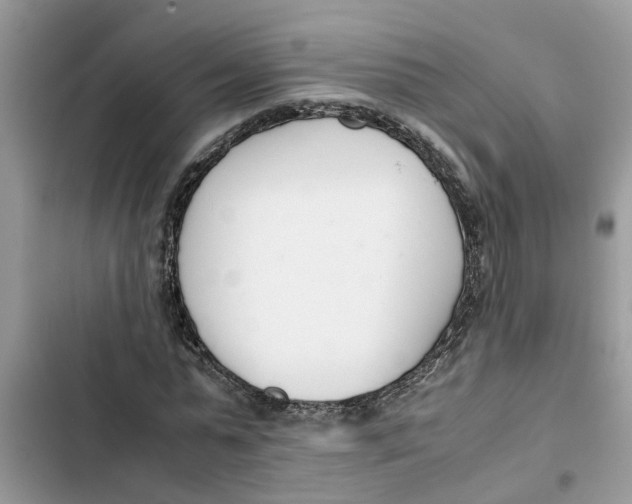 X0000103270775200809191741