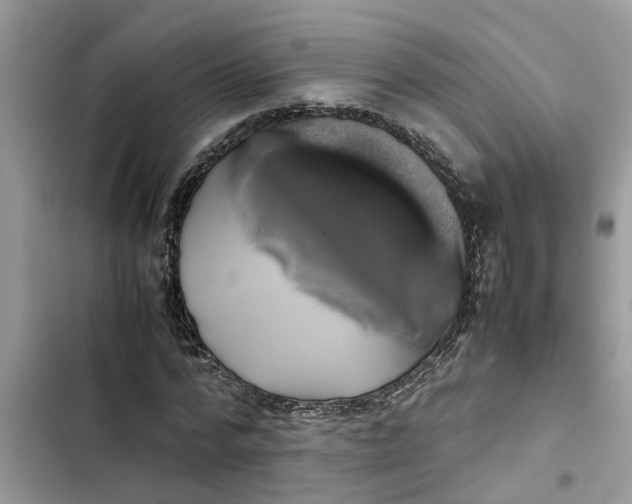 X0000103270776200809191741