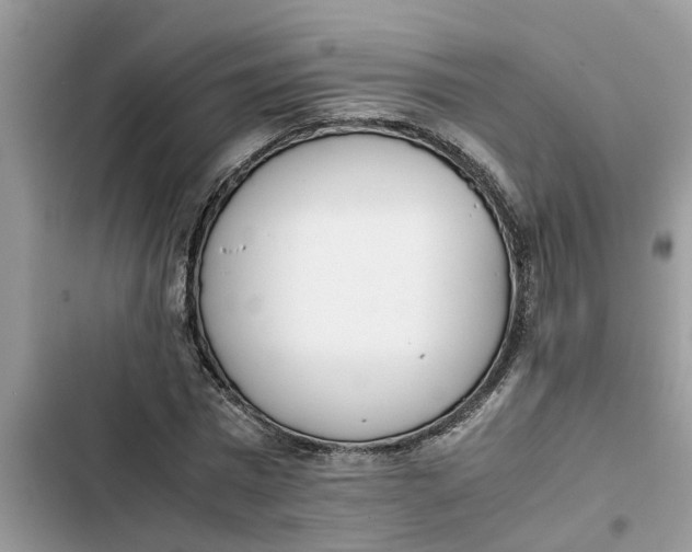 X0000103270777200809191741