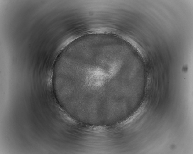 X0000103270778200809191741
