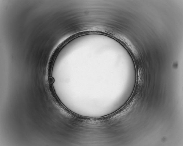 X0000103270780200809191741