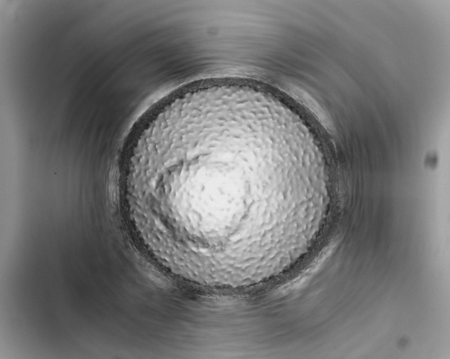 X0000103270781200809191741