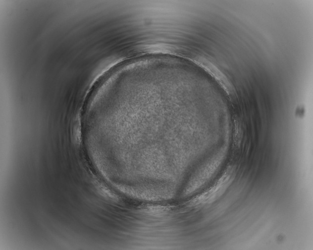 X0000103270782200809191741