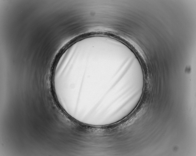 X0000103270783200809191741