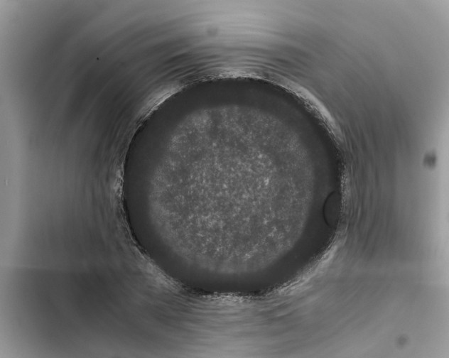 X0000103270785200809191741