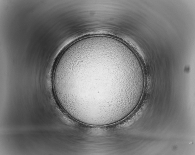 X0000103270789200809191741
