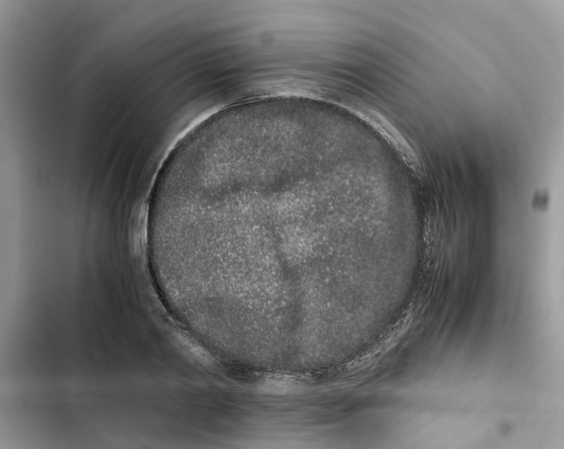 X0000103270790200809191741