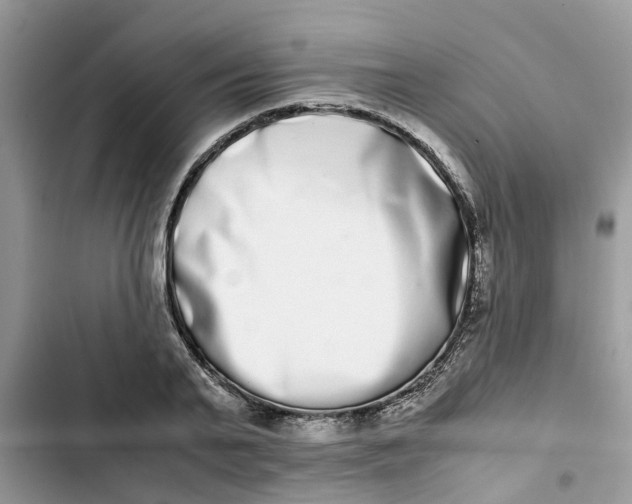 X0000103270791200809191741