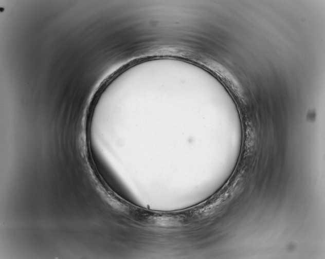 X0000103270792200809191741