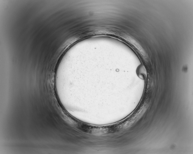 X0000103270793200809191741