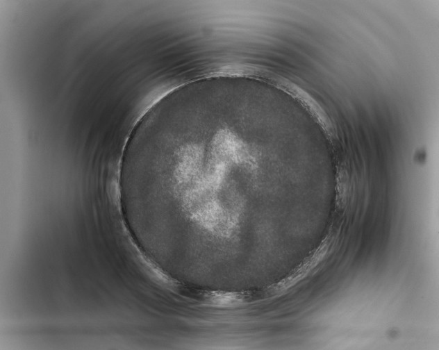 X0000103270794200809191741