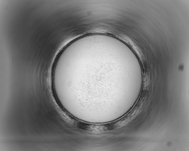 X0000103270795200809191741