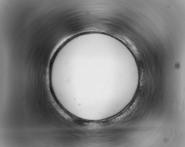 X0000103270796200809191741