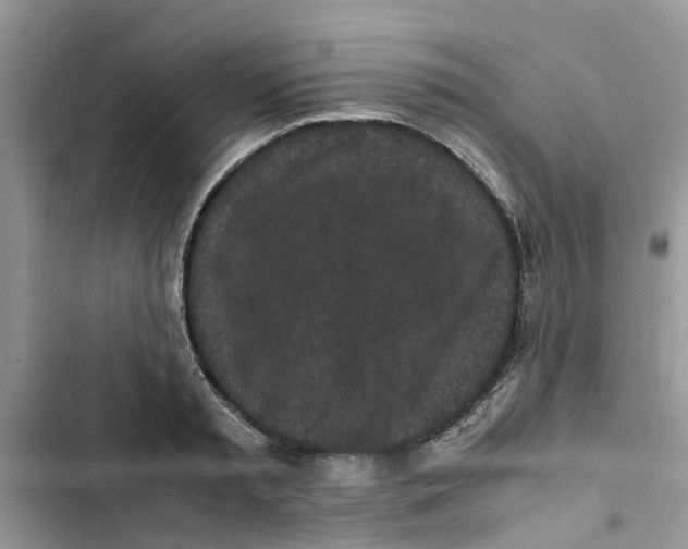 X0000103270797200809191741