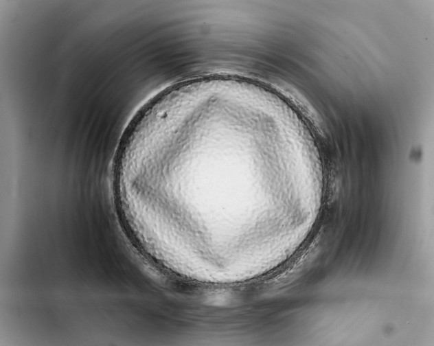 X0000103270798200809191741