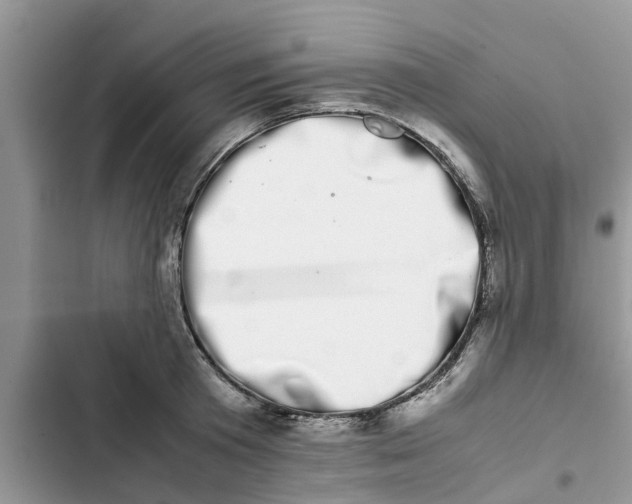 X0000103270801200809191741