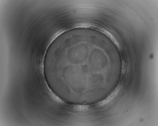 X0000103270802200809191741