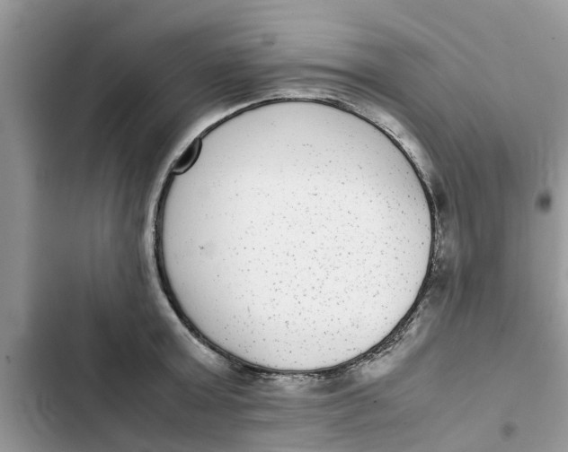 X0000103270803200809191741