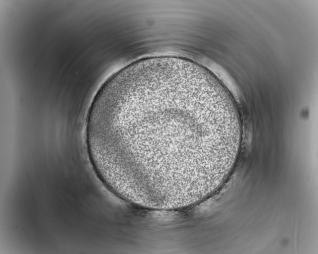 X0000103270805200809191741
