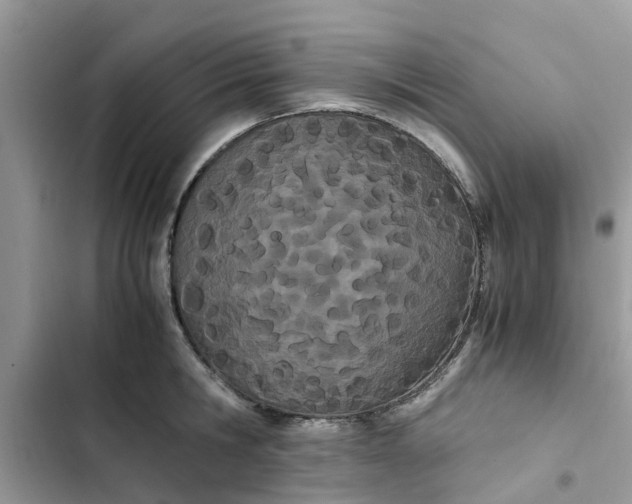 X0000103270806200809191741