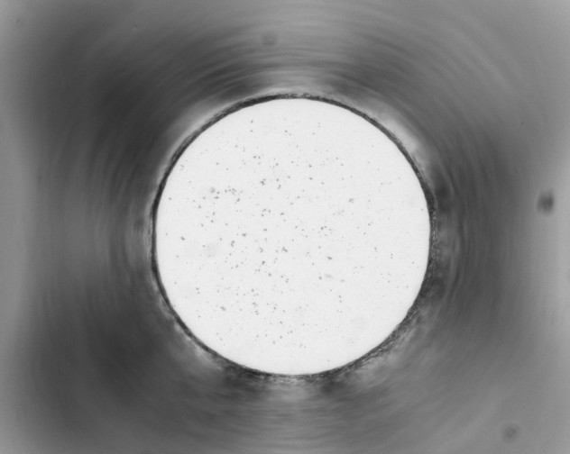 X0000103270807200809191741