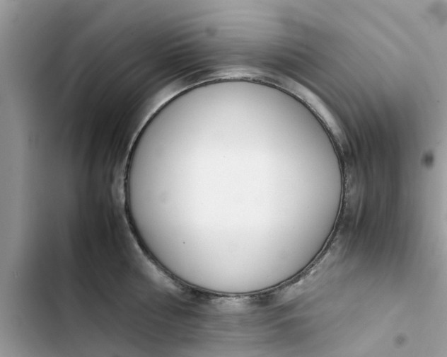 X0000103270810200809191741