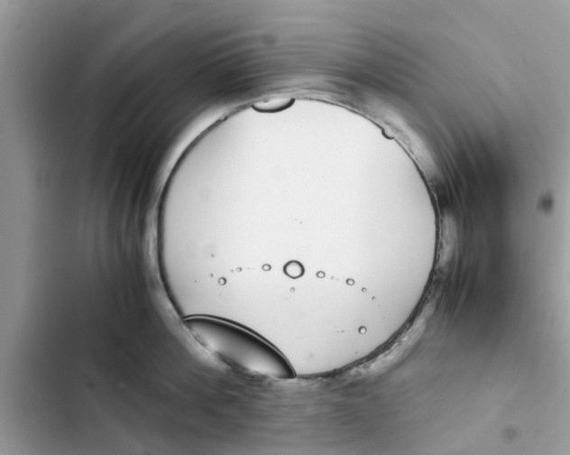 X0000103270812200809191741