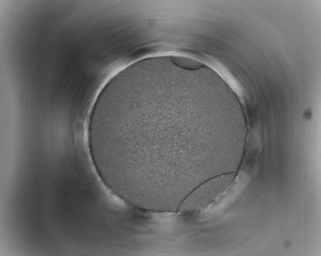 X0000103270813200809191741