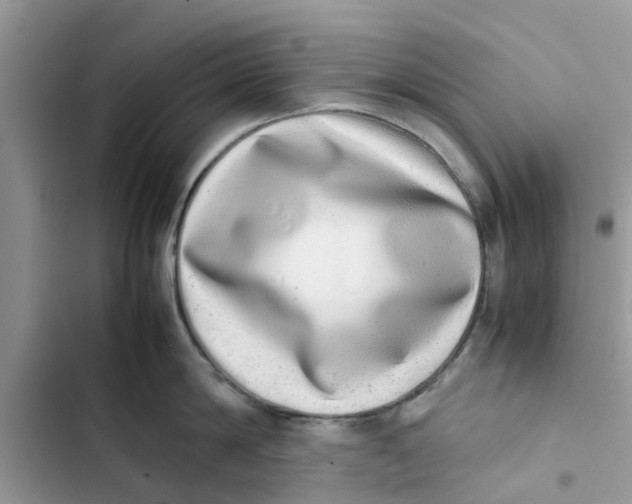 X0000103270814200809191741