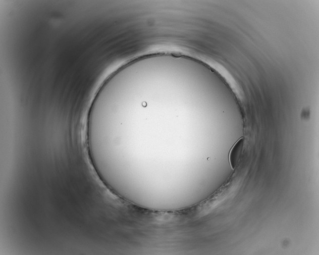 X0000103270815200809191740