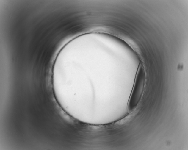 X0000103270816200809191740