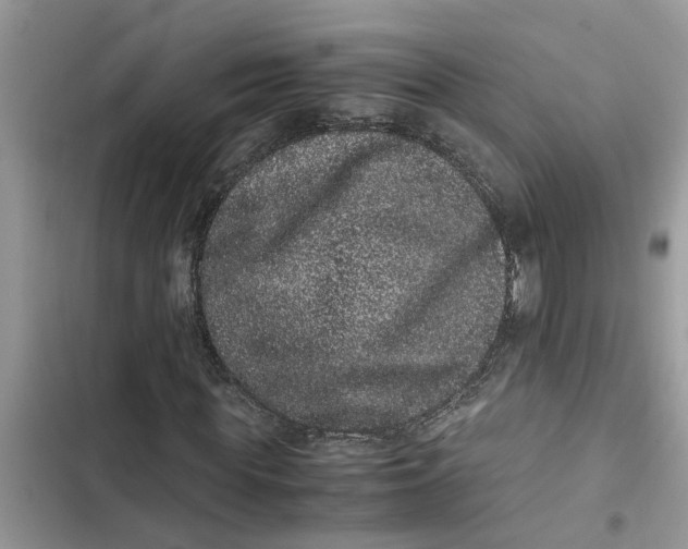 X0000103270819200809191740