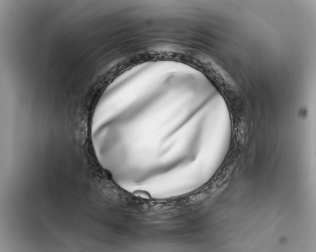 X0000103270821200809191740
