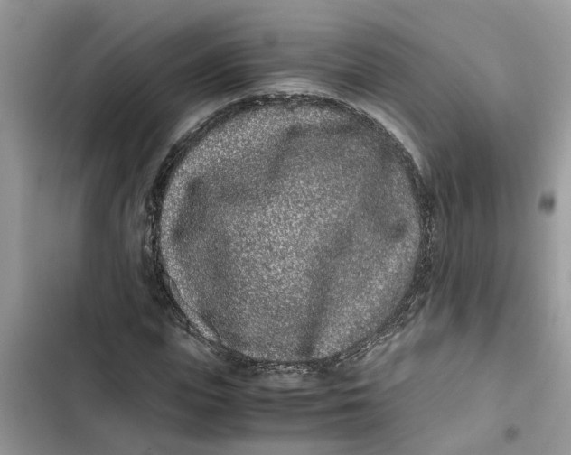 X0000103270823200809191740