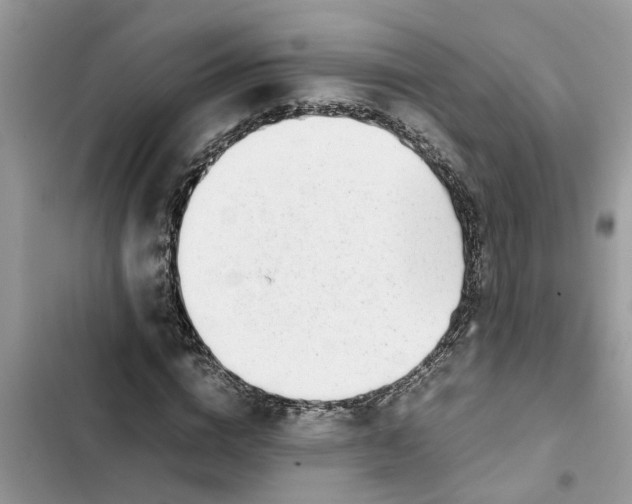 X0000103270824200809191740
