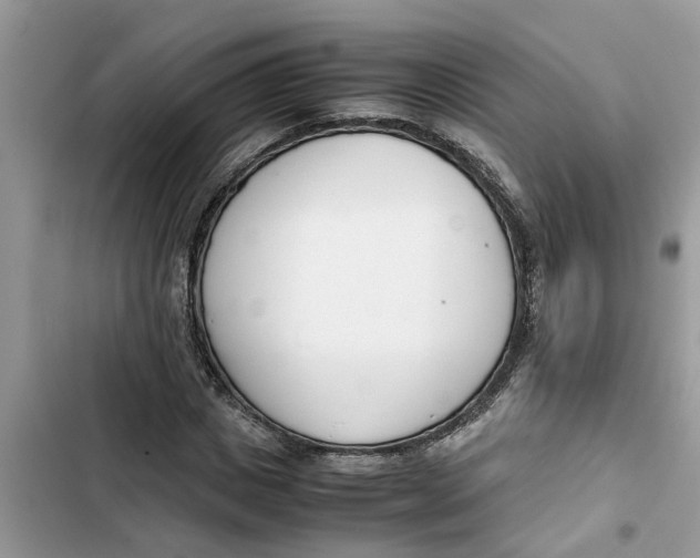 X0000103270825200809191740