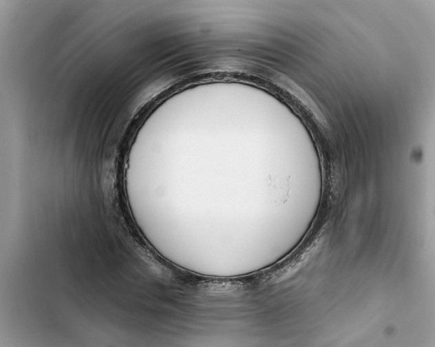 X0000103270826200809191740