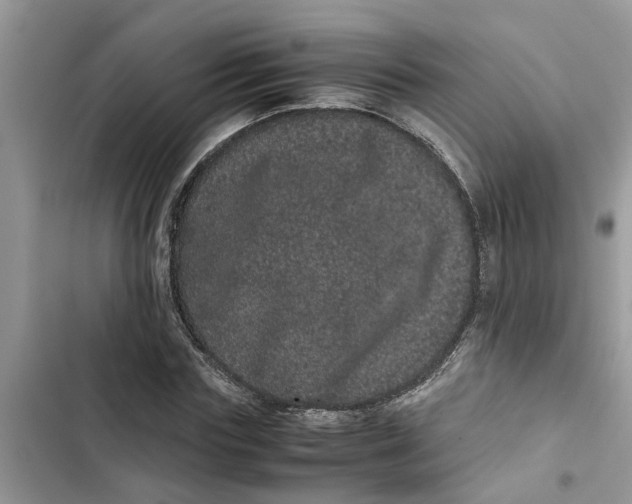 X0000103270827200809191740