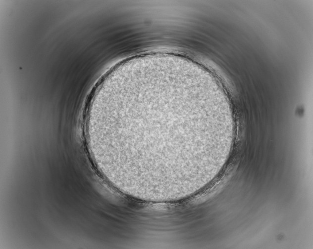 X0000103270828200809191740