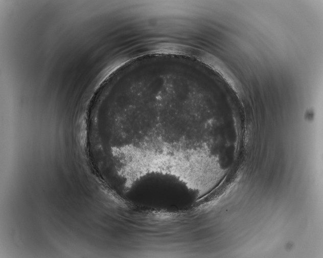 X0000103270829200809191740