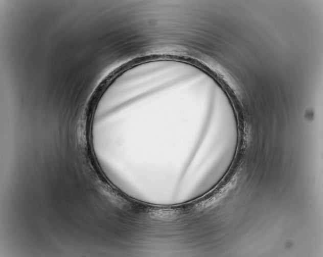 X0000103270830200809191740