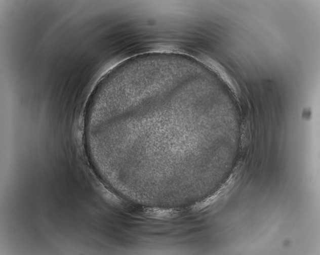 X0000103270831200809191740